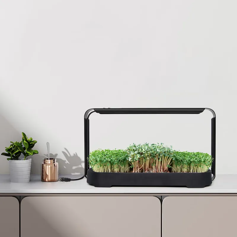 Self Watering Planter - Sistema de Cultivo Hidropónico con Autorriego