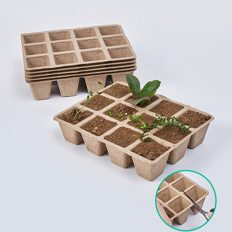 Seed Starter Tray - Bandeja Biodegradable de pulpa para plantas