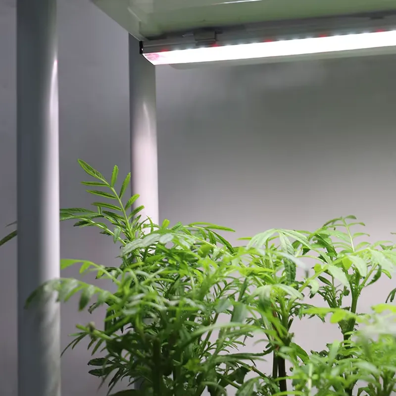 Jardinera Inteligente Vertical - Self Watering Planter reseña y precio