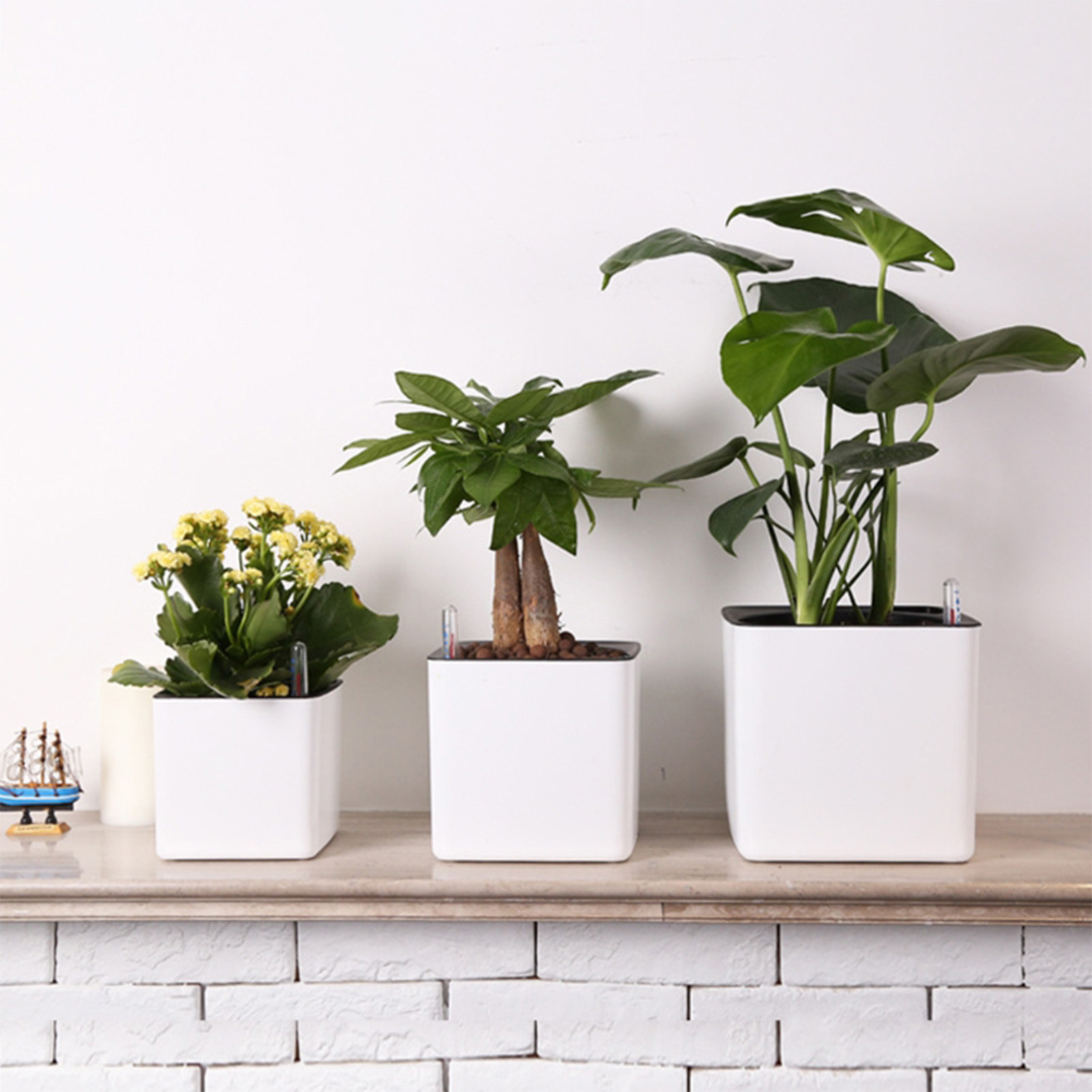 Macetas de plantas de flores c - Self Watering Planter reseña y precio