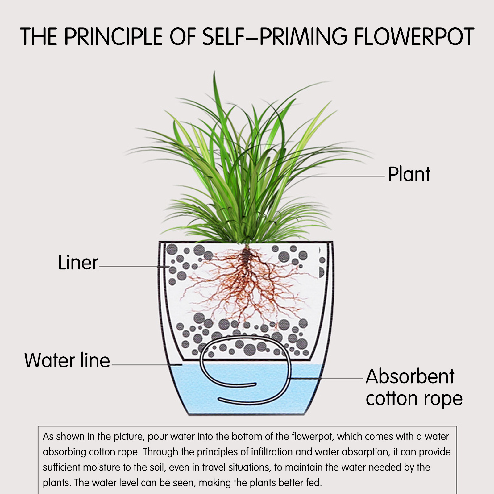 Macetas de plantas de flores c - Self Watering Planter reseña y precio
