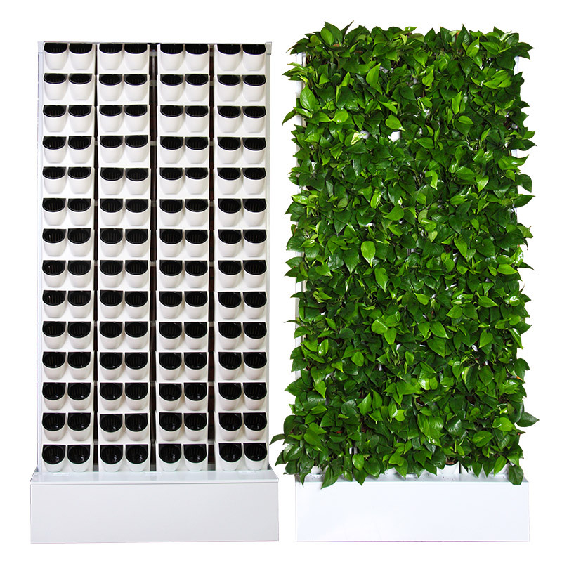 Kit Hidropónico Interior de 2  - Hydroponic Kit reseña y precio
