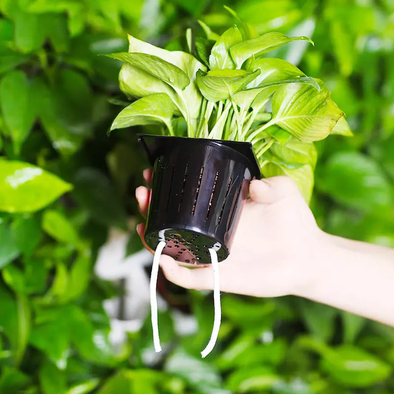 Kit Hidropónico Interior de 2  - Hydroponic Kit reseña y precio