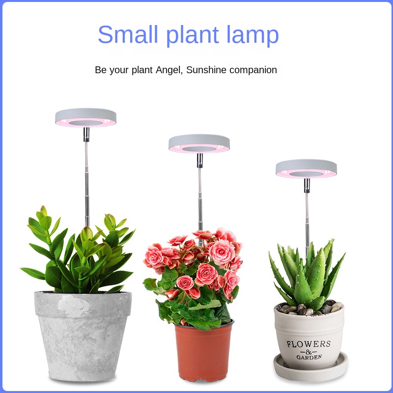 Luz LED de cultivo de espectro - Indoor Herb Garden reseña y precio