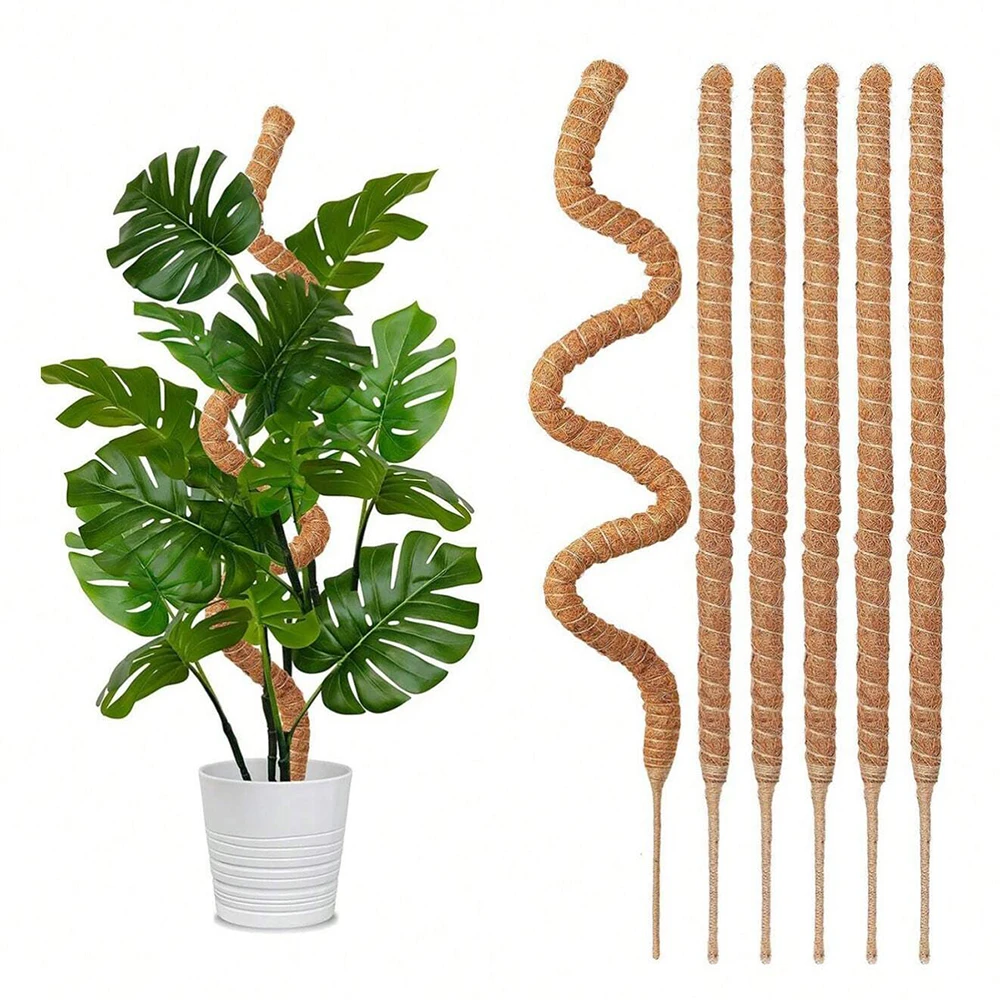 Soportes de moho para plantas  - Indoor Herb Garden reseña y precio