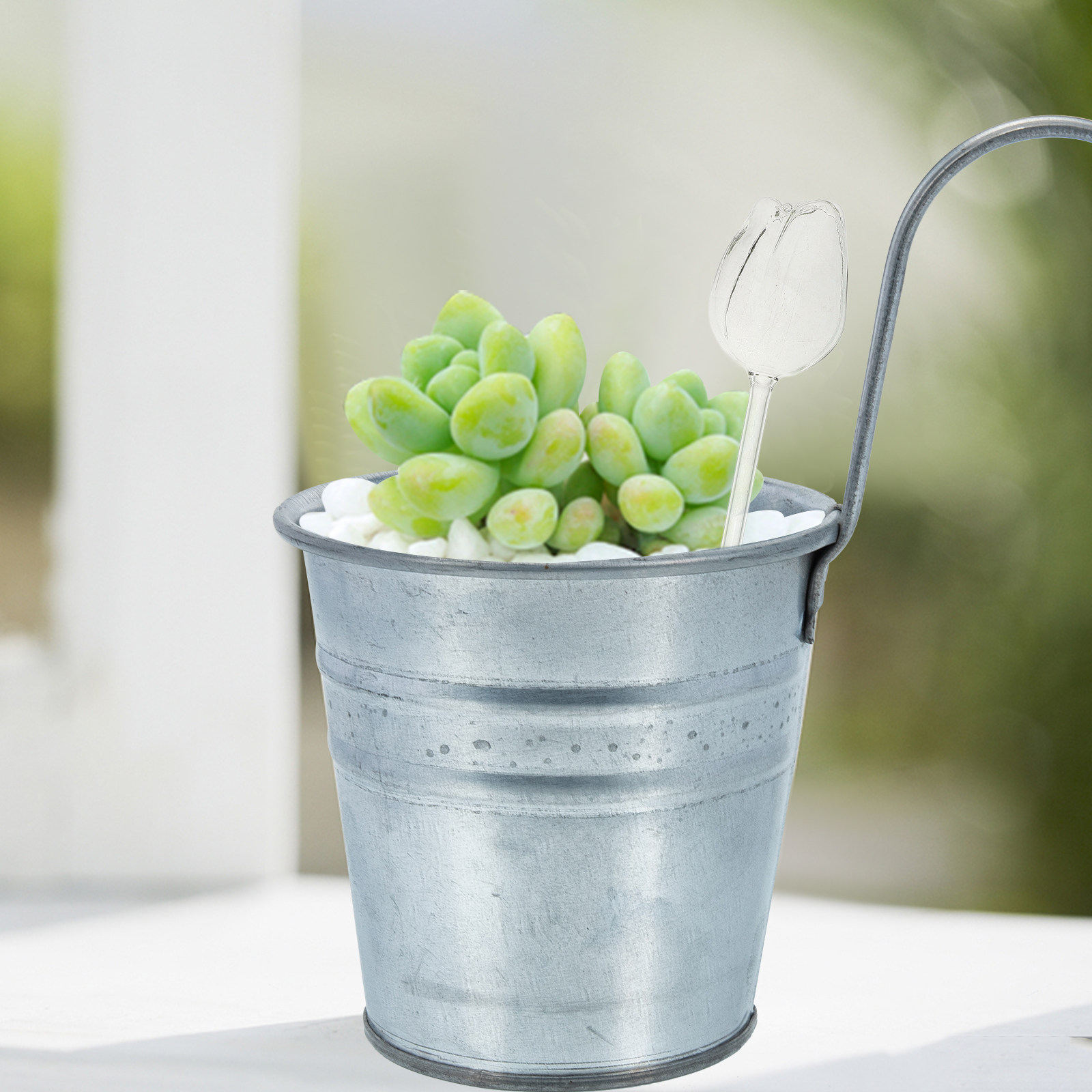 2 unidades de globos de riego  - Self Watering Planter reseña y precio