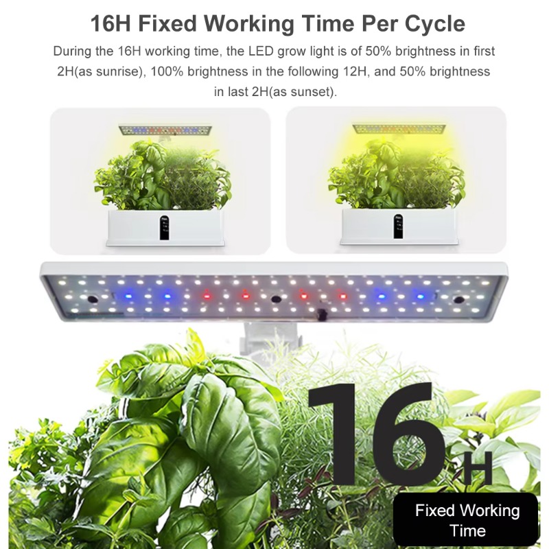 Sistema de Cultivo Hidropónico - Grow Light Led reseña y precio