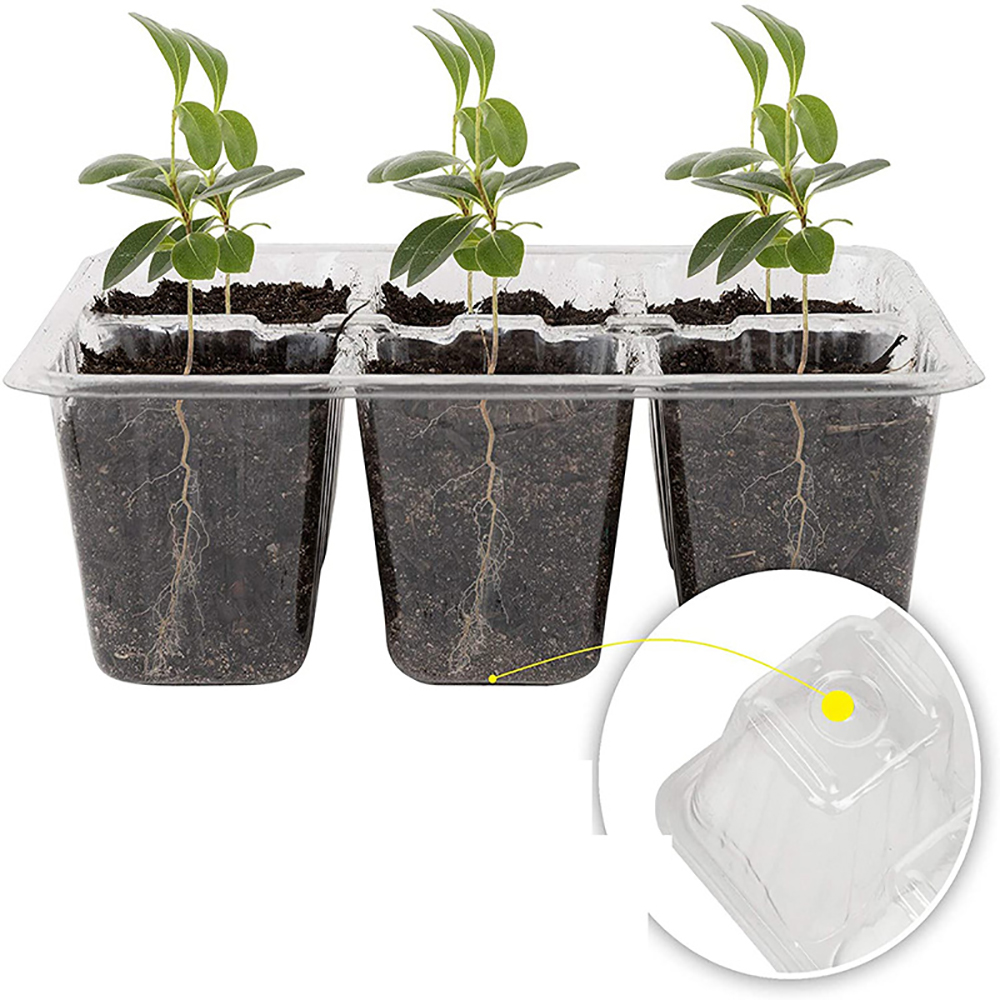 Bandejas de inicio de semillas - Seed Starter Tray reseña y precio