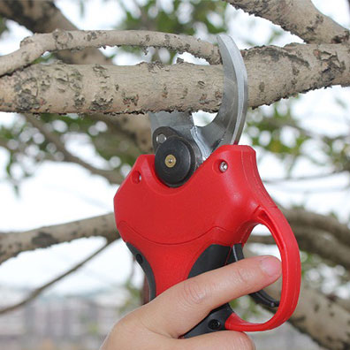 Tijeras de Jardinería de Alta  - Pruning Shears reseña y precio