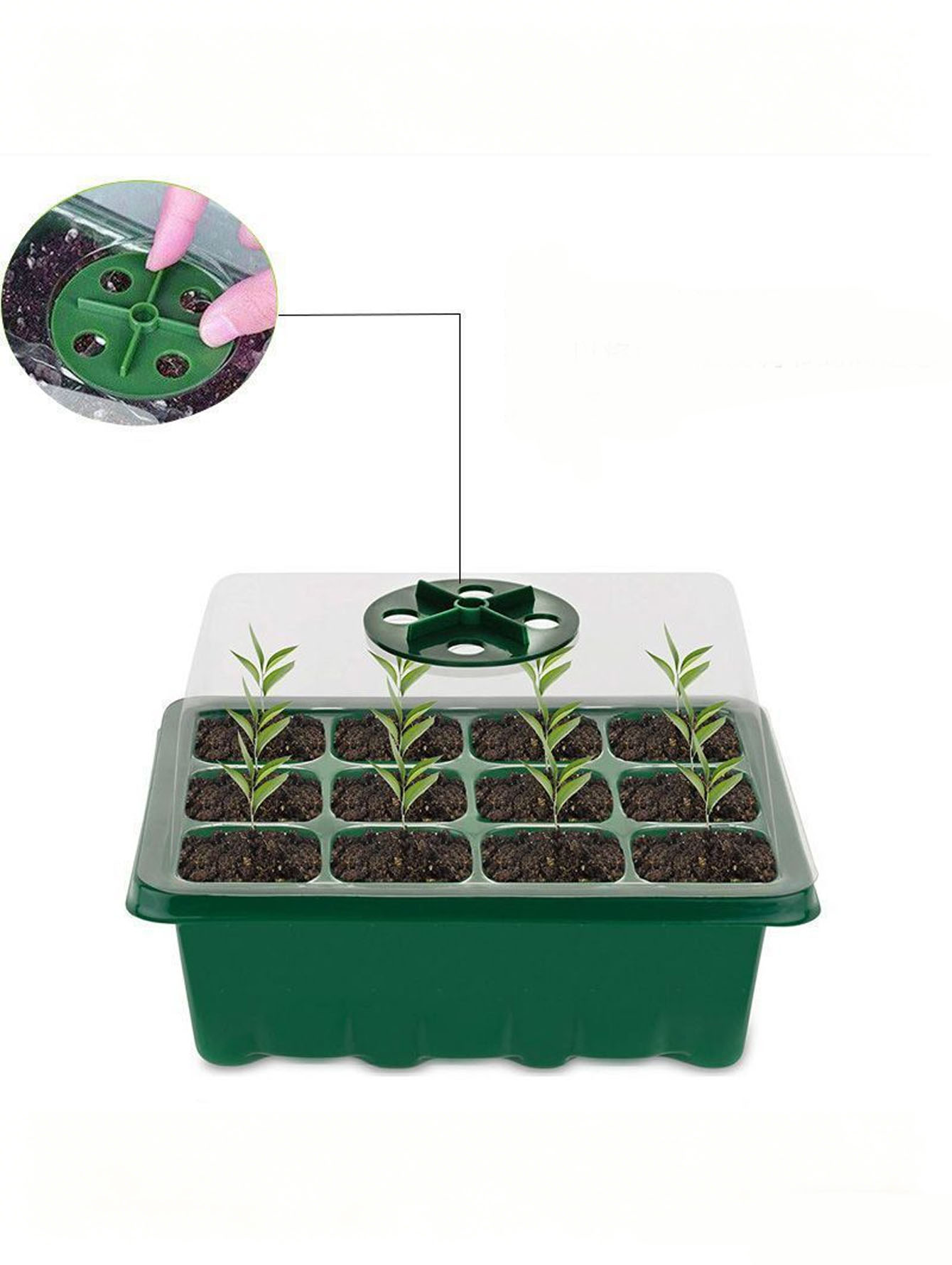 Bandeja para plántulas de 6/12 - Seed Starter Tray reseña y precio