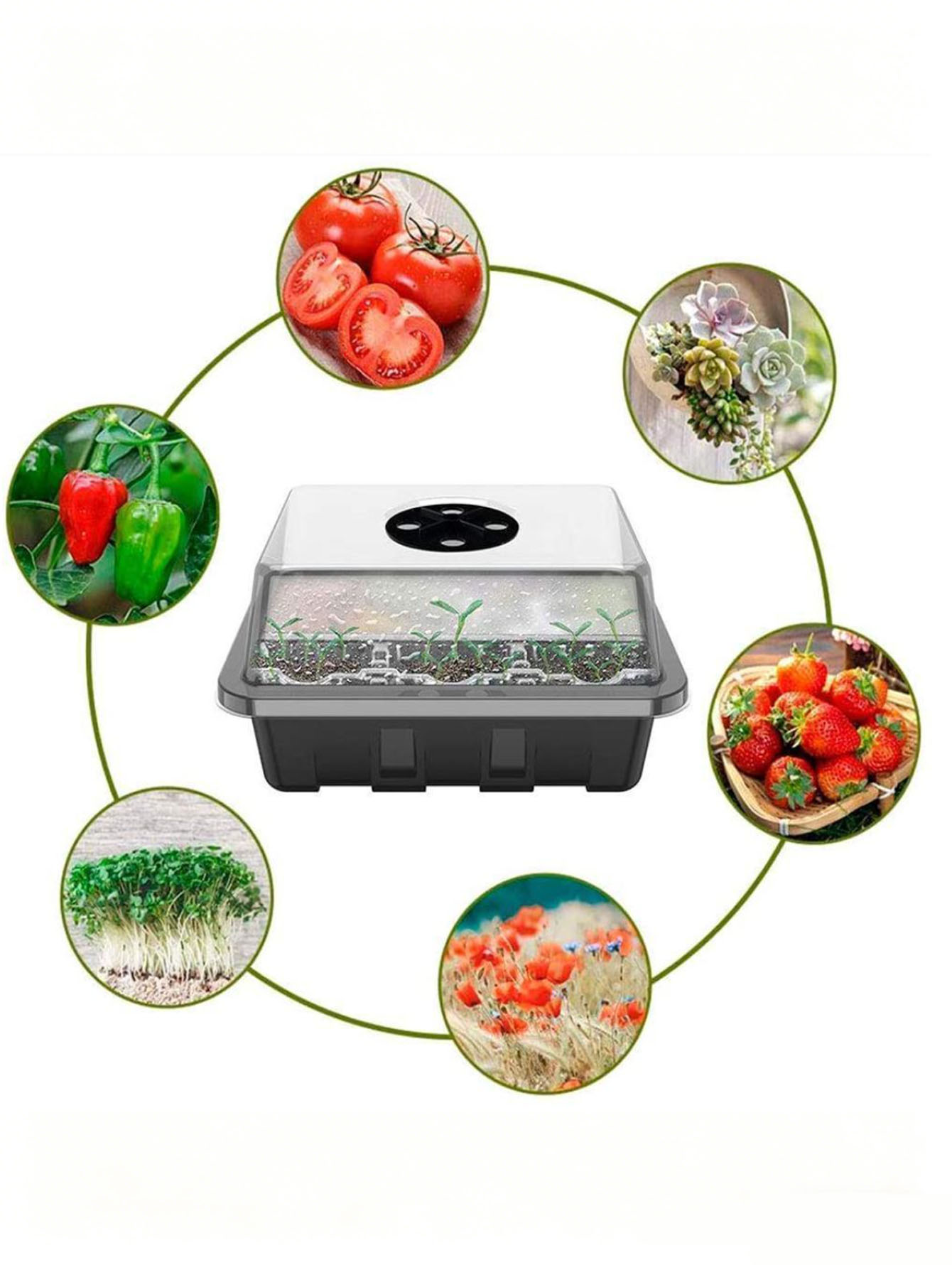 Bandeja para plántulas de 6/12 - Seed Starter Tray reseña y precio