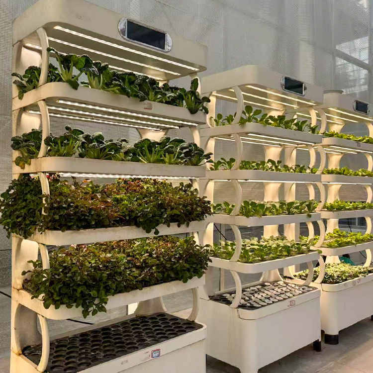 Maceta inteligente para jardín - Vertical Planter reseña y precio
